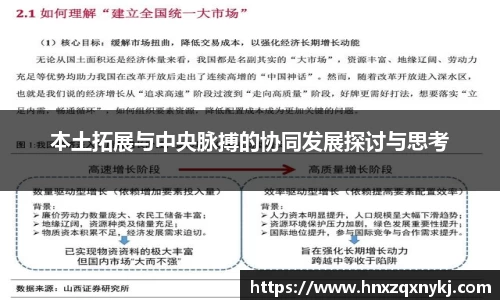 本土拓展与中央脉搏的协同发展探讨与思考